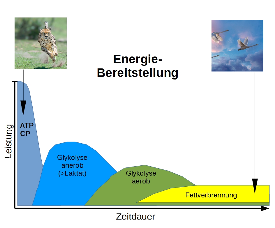 Energiebereitstellung